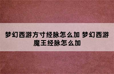 梦幻西游方寸经脉怎么加 梦幻西游魔王经脉怎么加